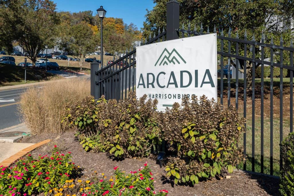 arcadia_010_IMGL7717